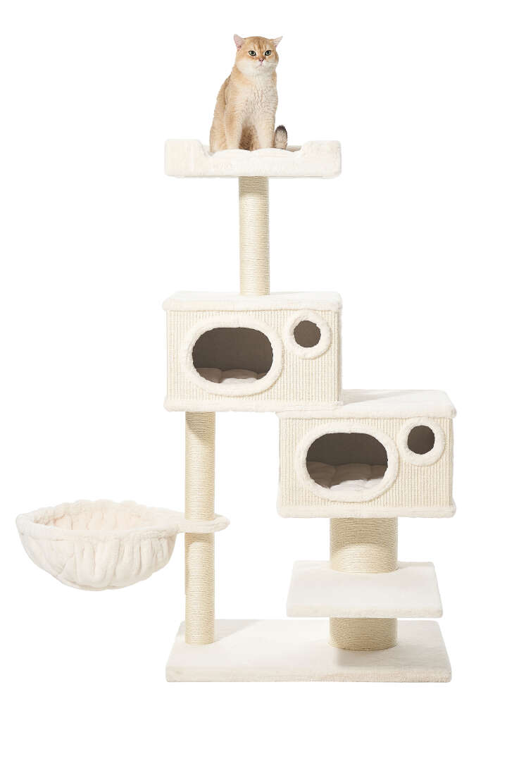 Nobby Kratzbaum Binka